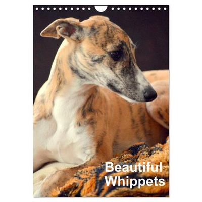 Beautiful Whippets (Wall Calendar 2026 DIN A4 portrait), CALVENDO 12 Month Wall Calendar