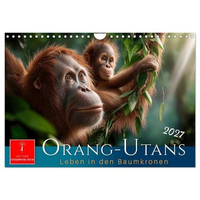 Orang Utans - Leben in den Baumkronen (Wandkalender 2027 DIN A4 quer), CALVENDO Monatskalender