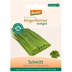 Schnittlauch mittelgrobröhrig - Schmitt