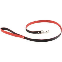 Martin Sellier S (S, Hund, Spazieren), Halsband + Leine