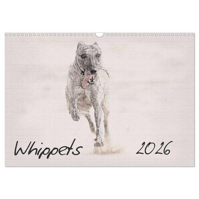 Whippets 2026 (Wall Calendar 2026 DIN A3 landscape), CALVENDO 12 Month Wall Calendar