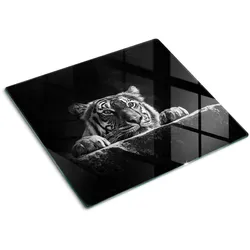 GLASPLATTE 60x52 cm Tiger