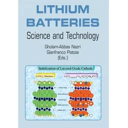 Springer Lithium Batteries, Batterien + Akkus