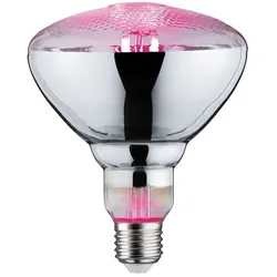 Paulmann LED Wachstumslicht-Filament / Grow Green Reflektor PAR38, 230V, E27, 6.5W 1300K 200lm 115° PAUL-28737