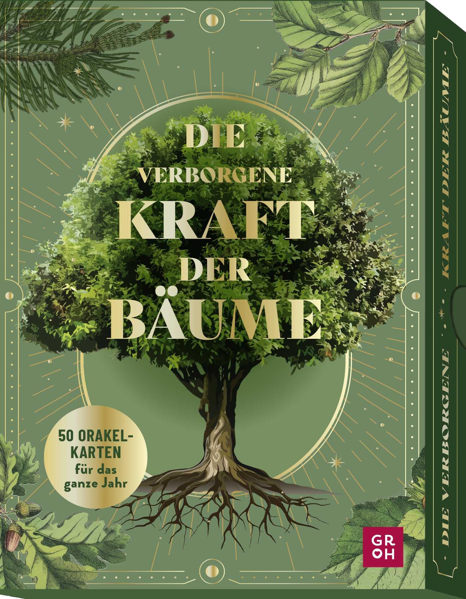 Kristin Funk - Orakelkarten: Die verborgene Kraft der Bäume: 50 Orakelkarten für das ganze Jahr Nutze die Botschaften und Weisheiten der Natur. Spirituelles Kartenset in goldveredelter Box - Preis vom 14.10.2026 23:07:16 h