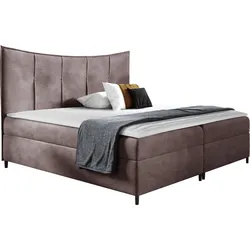 BOXBETT Bergamo - H3