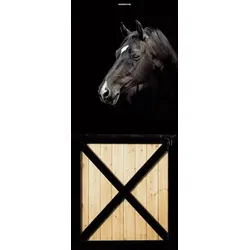 Scheurich Türfolie Black Horse, für Innen- Außentüren