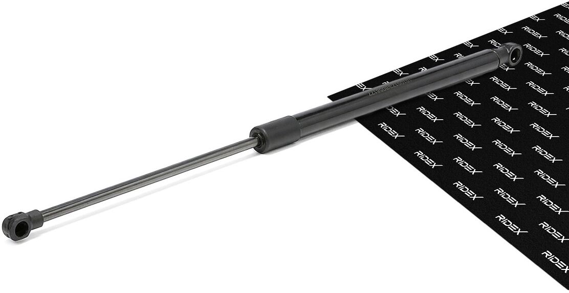 RIDEX 219G0098 Tailgate strut