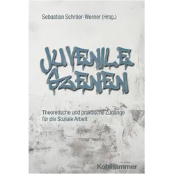 Juvenile Szenen, Fachbücher von Sebastian Schröer-Werner