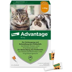 ADVANTAGE 40MG KATZE+ZIERKANINCHEN 4X0.4 ml Lösung