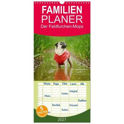 Familienplaner 2027 - Der Feldfurchen-Mops mit 5 Spalten (Wandkalender, 21 x 45 cm) CALVENDO