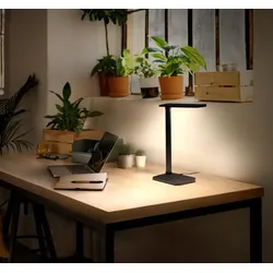 OSRAM Office Line Desk Banker Schreibtischlampe 7W CCT Dimmbar Schwarz