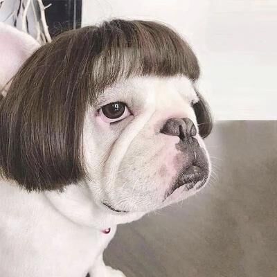 Uplift Treasures Funny Pet Wig Costume Accessory c large