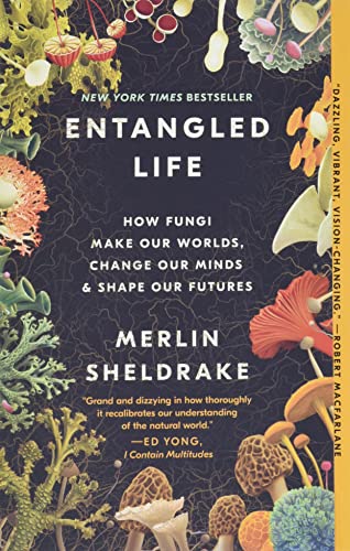 Merlin Sheldrake - Entangled Life: How Fungi Make Our Worlds, Change Our Minds & Shape Our Futures - Preis vom 13.10.2026 11:25:28 h