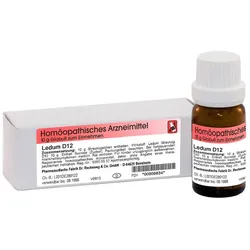 Ledum D12 Dr. Reckeweg