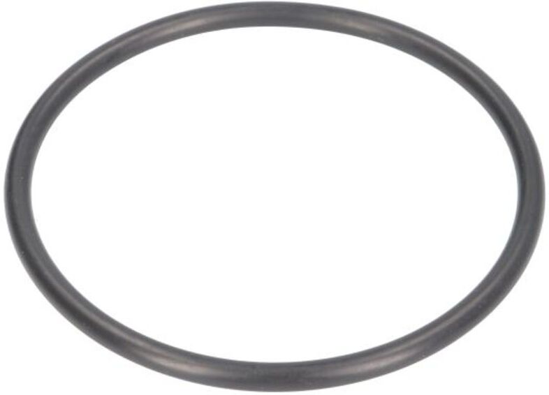 Evert Guarnizione O-RING (90x5,3) per martinetti ZL207101016
