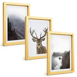 BILDER SET 3er Set - 20x30 cm Goldrahmen - Berglandschaft mit Hirschen