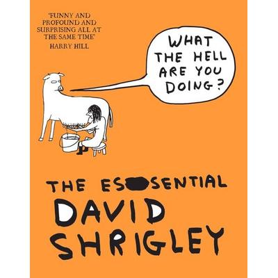 What The Hell Are You Doing?: The Essential David Shrigley, Taschenbuch von David Shrigley, Canongate Books Ltd., 978-1-84767-863-8