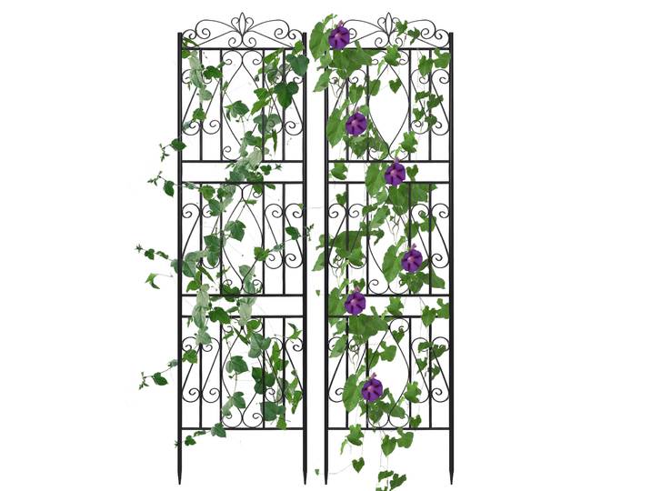 2 treillis de jardin en métal antirouille pour plantes grimpantes, support décoratif pour plantes, accessoires de jardin