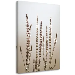 LEINWANDBILD Trockene Pflanzen Natur beige 40x60cm
