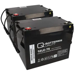 2x Q-Batteries 12LC-75 AGM Akku 24V 77Ah – kompatibel mit Jansen Elektromobile