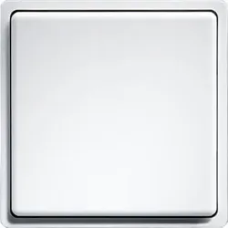 Eltako Funk-Minitaster reinweiß FMT55/2-rw