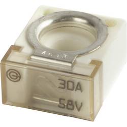 iMaXX cubeOTO CF030 Kfz Standard Flachsicherung 30 A Transparent 1 St.