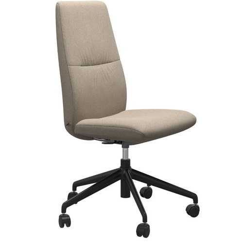 Stressless Home Office Mint 1859768 579 81