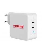 ROLINE USB Ladegerät 100W 2x C PD GaN Typ C (19.11.1053)