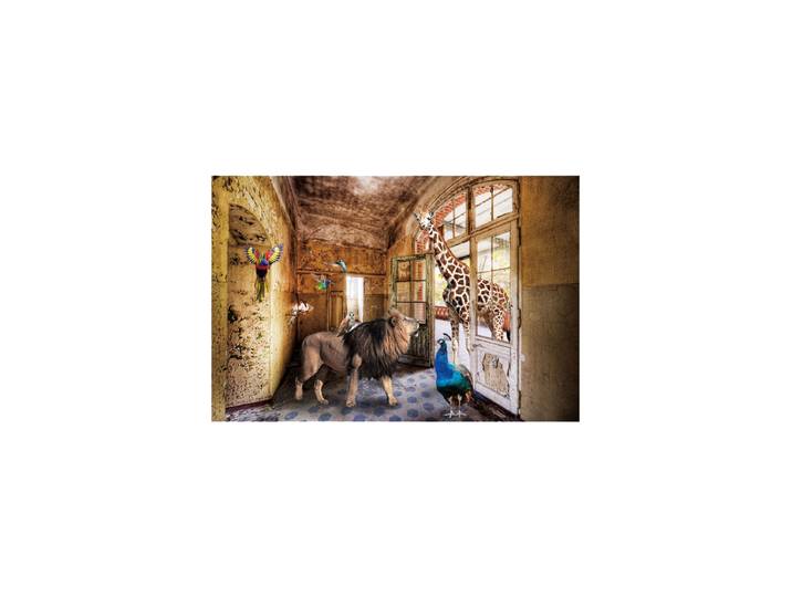 Glasbild „Dschungeltiere suchen ein Zuhause“ 80 x 120 cm Multicolor Crea Collection