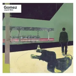 Various Publishers, Schallplatten, Liquid Skin (Gomez)