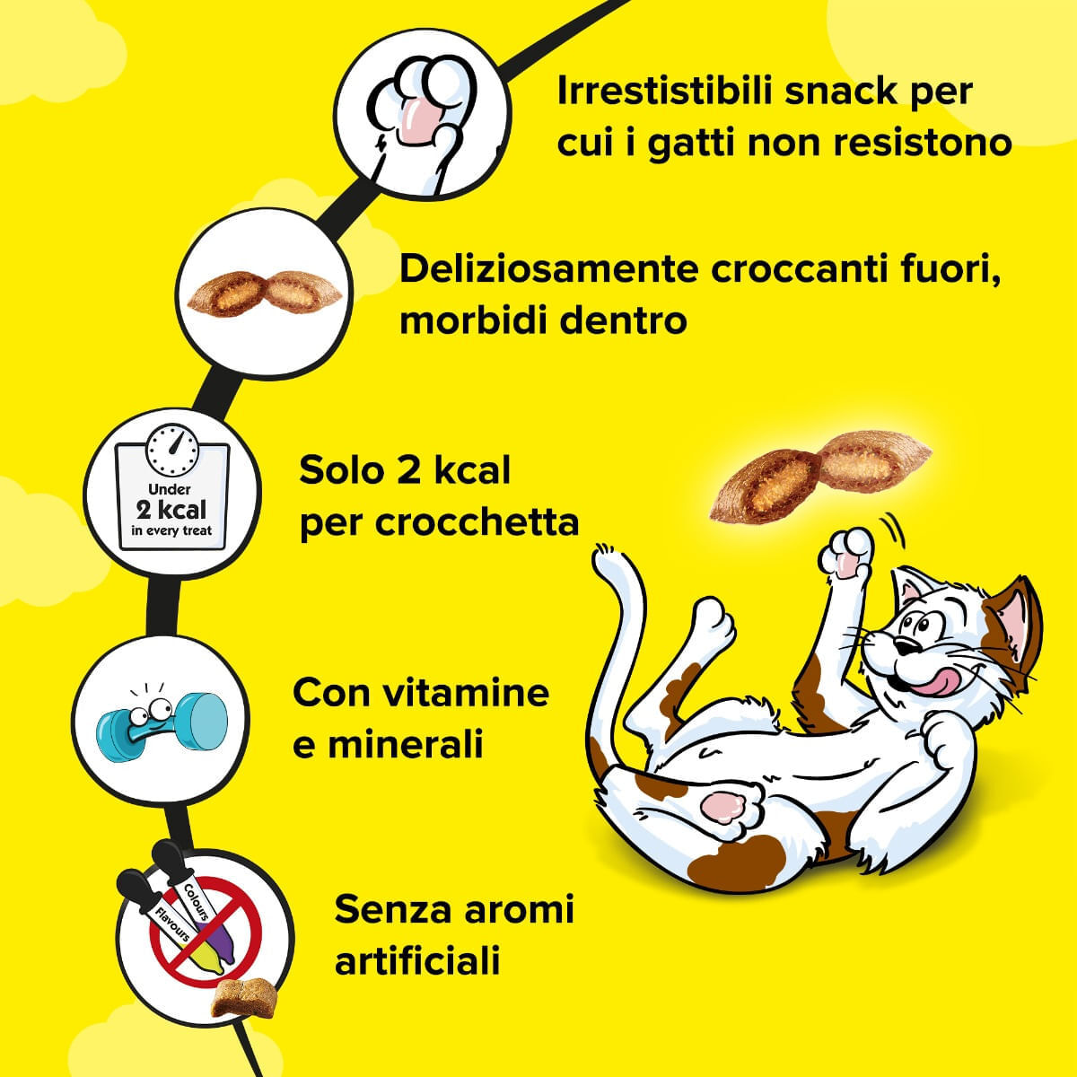 Catisfactions Snack per Gatto con Pollo 60G