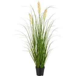 Grasbusch Federgras (H 100 cm) - beige - H 100 cm