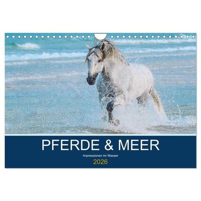 PFERDE & MEER (Wandkalender 2026 DIN A4 quer), CALVENDO Monatskalender