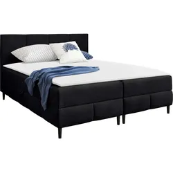 BOXBETT Box Best 2 - H3