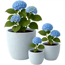 3er Set Pflanzkübel 1