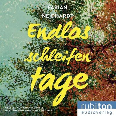 Endlosschleifentage - Fabian Neidhardt, CD, 9783987151613