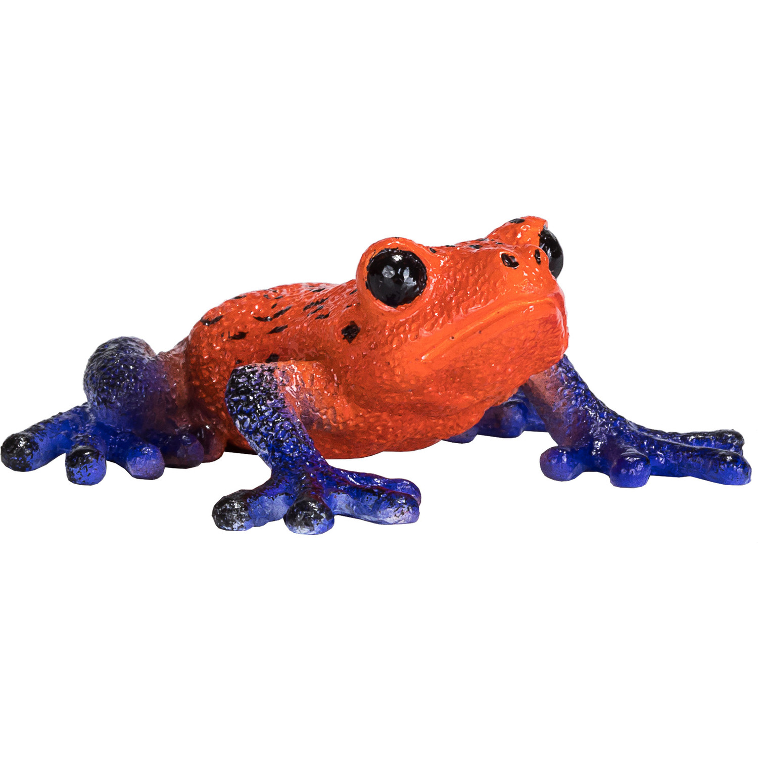 Mojö Fun Animal Planet Pijlvergiftkikker