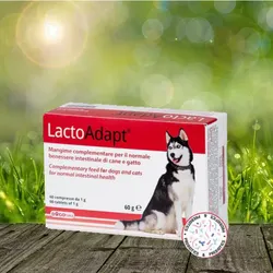 New LactoAdapt  60 Stück - für optimale Darmgesundheit