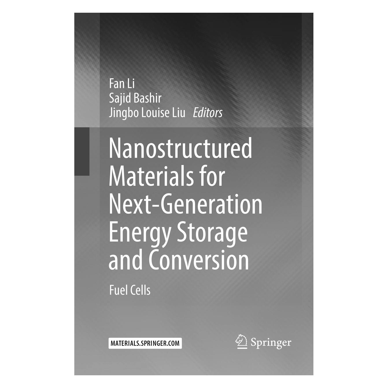 Springer Nanostructured Materials for Next-Generation Energy Storage and Conversion (Englisch, Softcover, Fan Li, Jingbo Louise Liu, Sajid Bashir) (56068240)