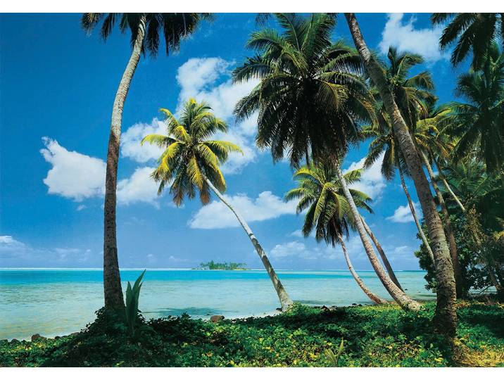 Fototapete PAPERMOON Tahiti , bunt, B:4m L:2,6m, Vlies, Tapeten, Fototapete