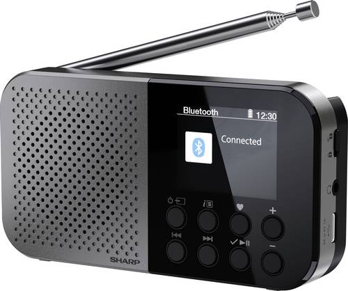 Sharp Outdoorradio FM, DAB Bluetooth Akku-Ladefunktion, Fühlbare Tasten Schwarz