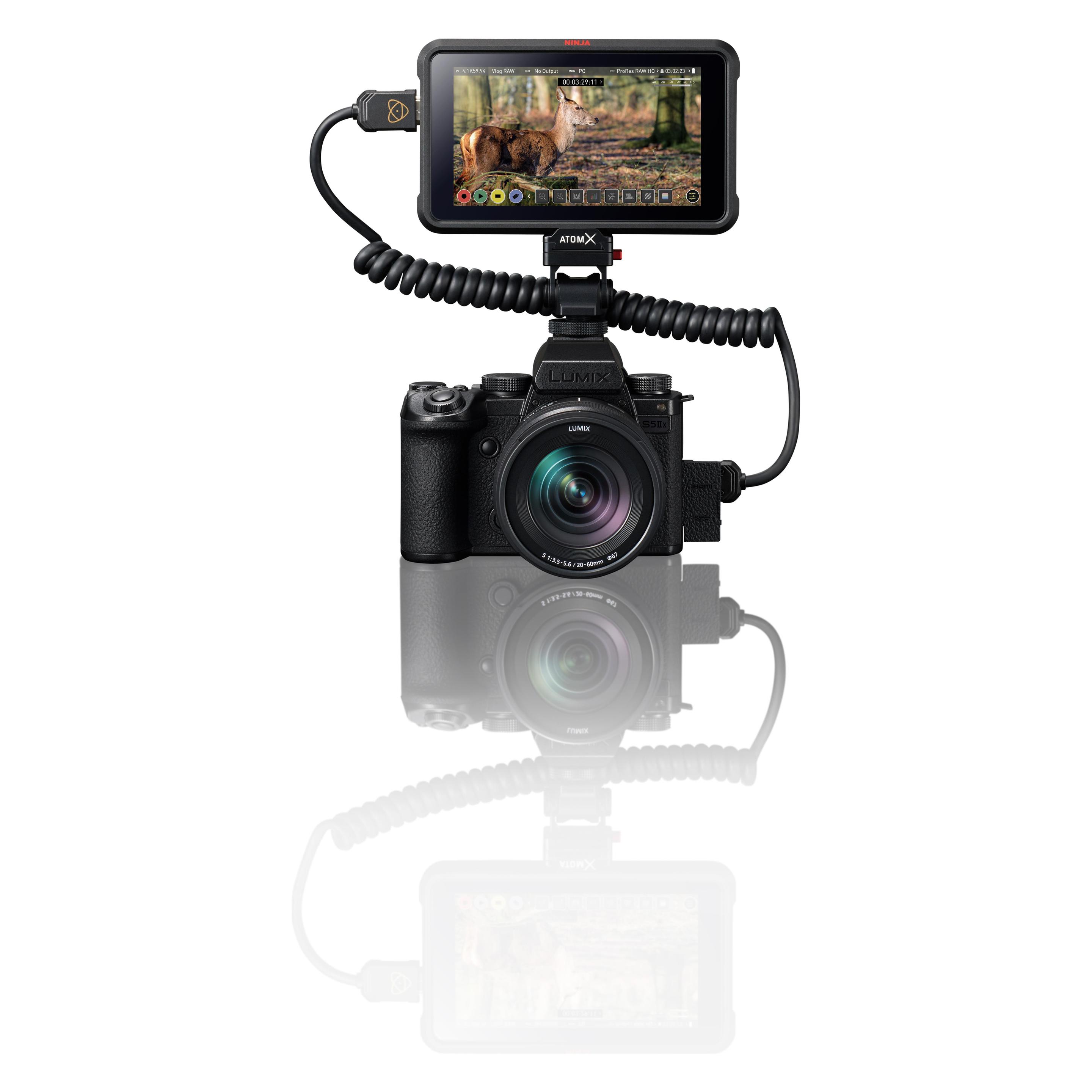 Panasonic Lumix S5IIX Kit (20 - 60 mm, 24.20 Mpx) (DC-S5M2XKE)
