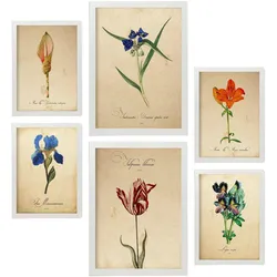 POSTER Set Mit 6 Blaue Blumen Vollfarbige Natur Und Botanikdrucke Mit Blumenmotiven Im Vintage Papier Stil Innenarchitektur A3 & A4 Weißer Rahmen