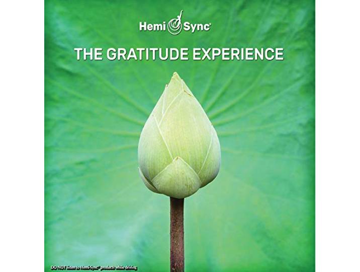 The Gratitude Experience