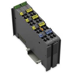 WAGO 750-495/040-002 SPS-3-Phasen-Leistungsmessung 750-495/040-002 1 St.