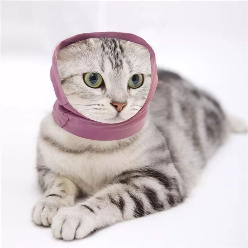 INF Cache-oreilles et écharpe pour animaux de compagnie - Protection anti-bruit et confort L