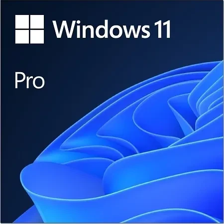 Microsoft Windows 11 Pro  (ESD)