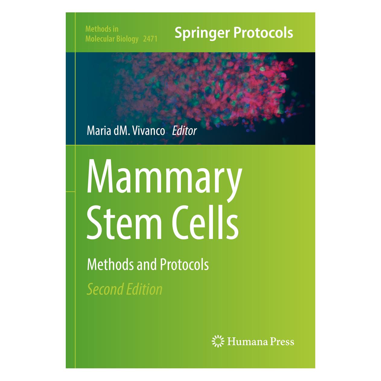 Springer Mammary Stem Cells (Englisch, Softcover, Maria dM. Vivanco) (56932416)