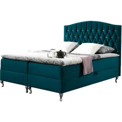 BOXBETT Puerto - H3